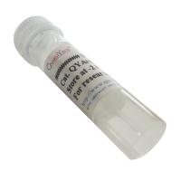 Fibrinogen β Polyclonal Antibody