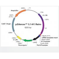 pSilencer5.1-H1-Retro