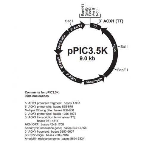 pPIC3.5K