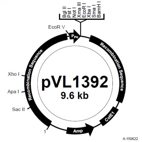 pVL1392