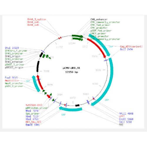 pCMV-dR8.91