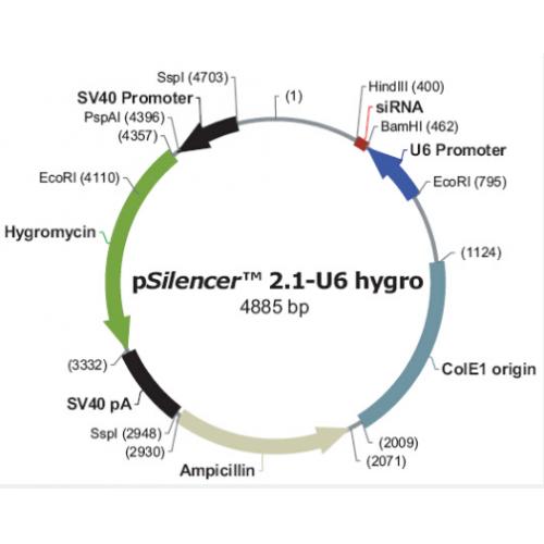 pSilencer 2.1-U6 hygro