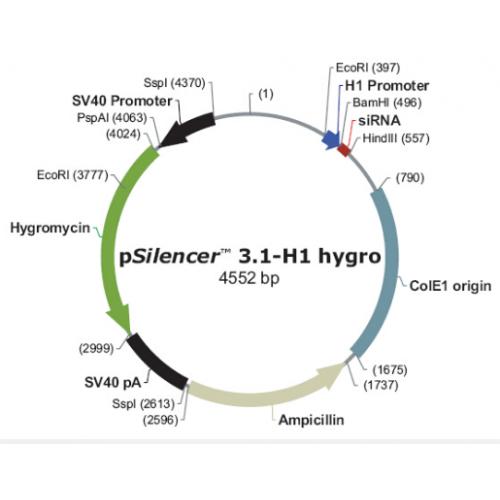 pSilencer 3.1-H1 hygro