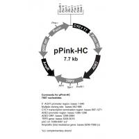 pPink HC