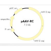 pAAV-RC