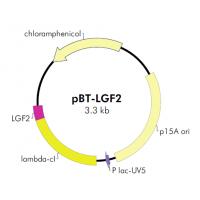 pBT-LGF2