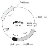 pTK-hyg