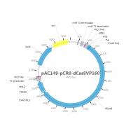 pAC149-pCR8-dCas9VP160