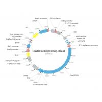 lentiCas9nD10A-Blast