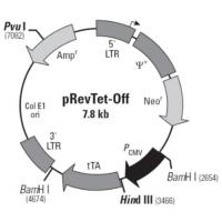 pRevTet-Off