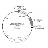 pF25A ICE T7 Flexi Vector