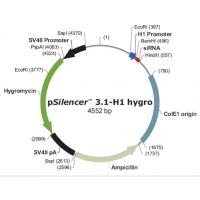 pSilencer 3.1-H1 hygro