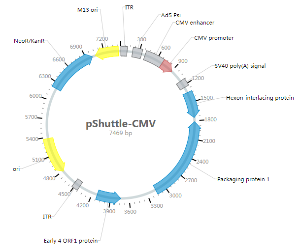 pShuttle-CMV