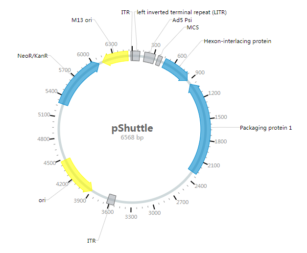 pShuttle