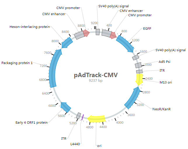 pAdTrack-CMV