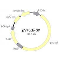 pVPack-GP