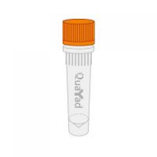 flag琼脂糖凝胶  flag-beads, flag-probe antibody agarose beads