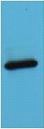 AmCyan Polyclonal Antibody