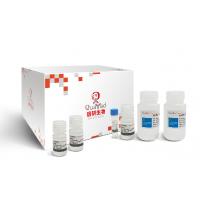 彩色高纯度质粒小提试剂盒 Colour HiPure Plasmid MiniPrep Kit