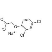 2,4-二氯苯氧基乙酸钠 2,4-Dichlorophenoxy acetic acid, sodium salt, monohydrate2702-72-9