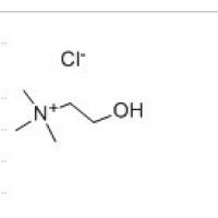 氯化胆碱 Choline chloride67-48-1