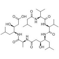 胃蛋白酶抑制剂 Pepstatin A26305-03-3