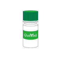 植物血球凝集素 PHAPhytohemagglutinin9008-97-3