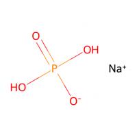 无水磷酸二氢钠  Sodium phosphate,momobasic,anhydrous  7558-80-7