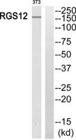 RGS12 Polyclonal Antibody