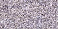 RKIP Polyclonal Antibody