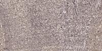 CBP20 Polyclonal Antibody