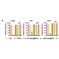 CD42d/GPV Polyclonal Antibody