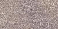 UDG Polyclonal Antibody