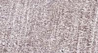 HBP1 Polyclonal Antibody