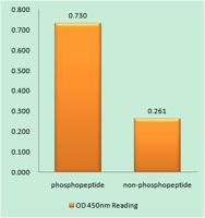 HP1γ (phospho Ser93) Polyclonal Antibody