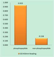 JAK2 (phospho Tyr931) Polyclonal Antibody