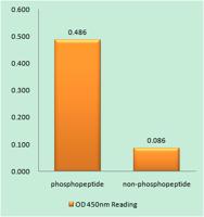 XIAP (phospho Ser87) Polyclonal Antibody