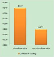 TIP60 (phospho Ser90) Polyclonal Antibody