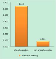 TH (phospho Ser71) Polyclonal Antibody