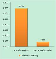 Paxillin (phospho Tyr31) Polyclonal Antibody