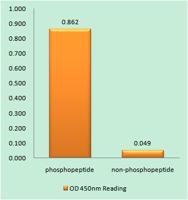 p53 (phospho Ser366) Polyclonal Antibody