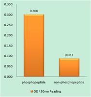 p53 (phospho Thr387) Polyclonal Antibody