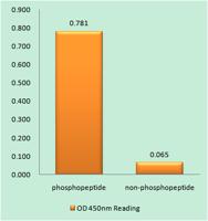 p70 S6 kinase α (phospho Ser418) Polyclonal Antibody