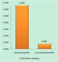 GATA-1 (phospho Ser142) Polyclonal Antibody