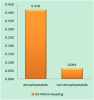 IL-8Rβ (phospho Ser347) Polyclonal Antibody