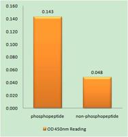 E2A (phospho Thr355) Polyclonal Antibody