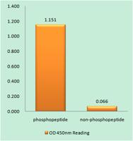 EDG-1 (phospho Thr236) Polyclonal Antibody