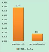 EGFR (phospho Ser1071) Polyclonal Antibody