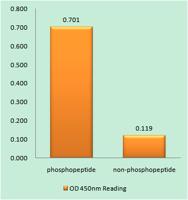 EGFR (phospho Thr693) Polyclonal Antibody