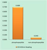 CENP-A (phospho Ser7) Polyclonal Antibody